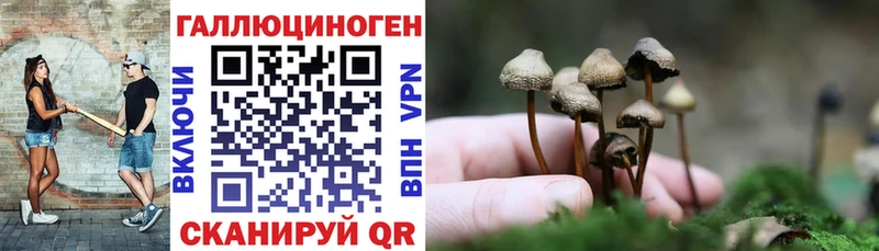 Галлюциногенные грибы Psilocybine cubensis  мориарти клад  Подольск  где купить наркотик 